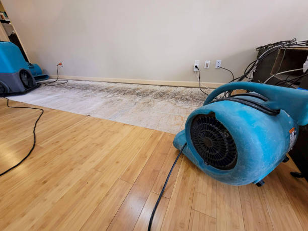 Professional Basement Flood Cleanup technician working in McComb, OH